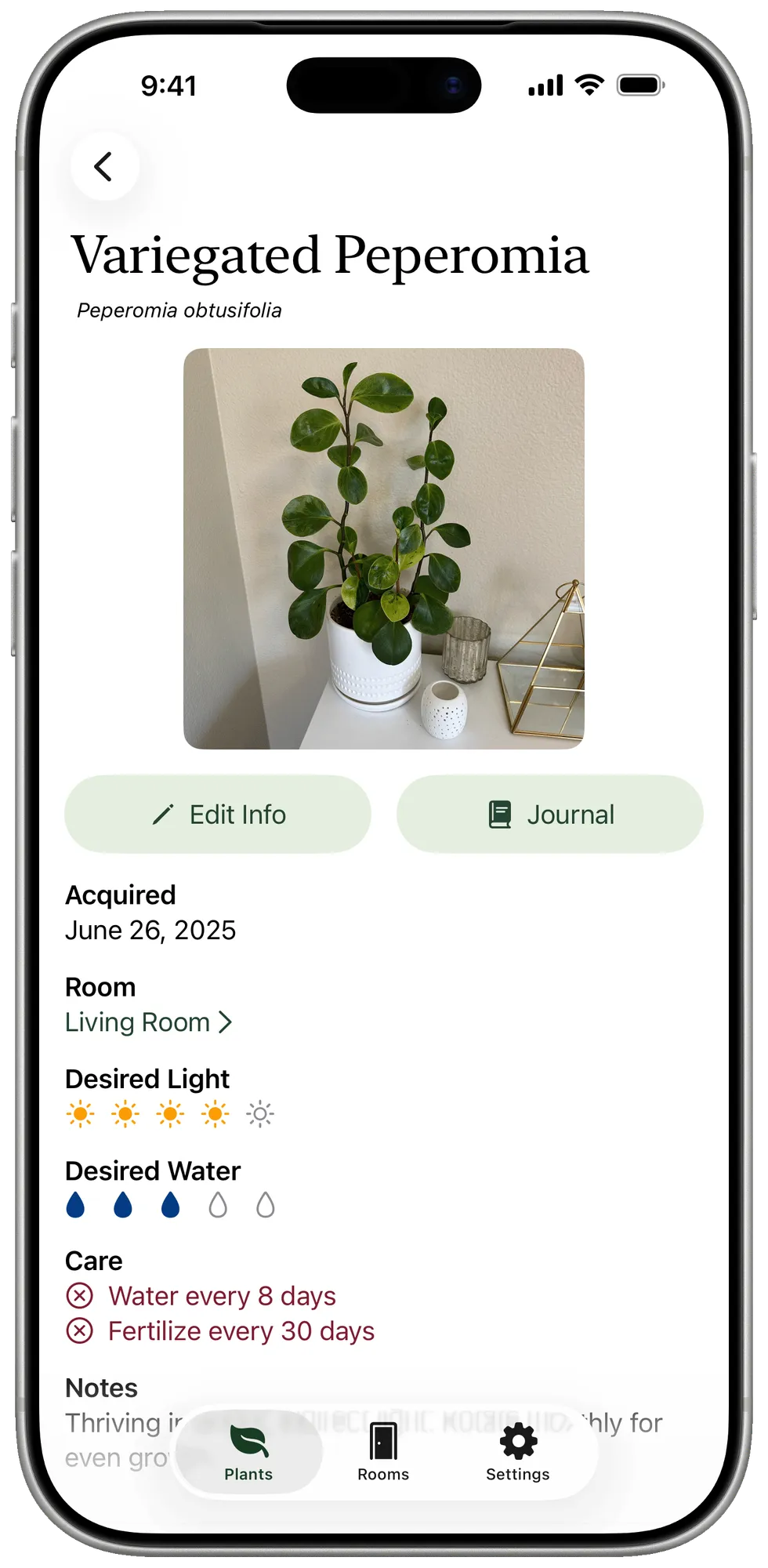 Plantminder plant detail view showing care information and recent activity on iPhone