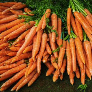 Carrots