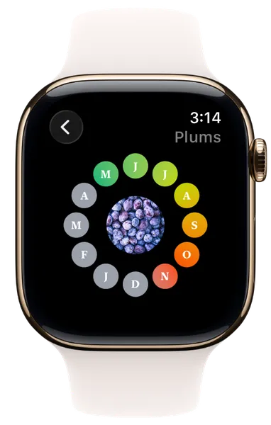 Season Eats showing the months when plums are in season on Apple Watch